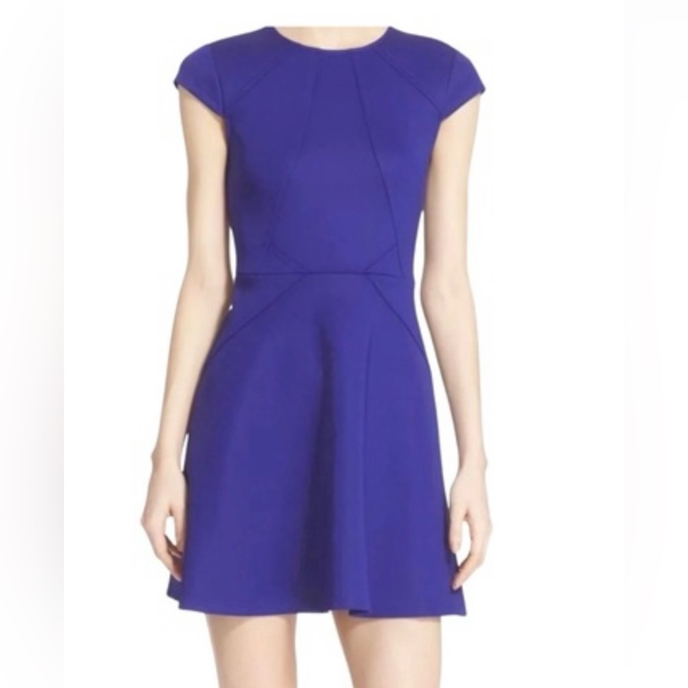 Ted Baker Skater Dress Capped Sleeves $248 Blue Women’s size 4 Cocktail Party
